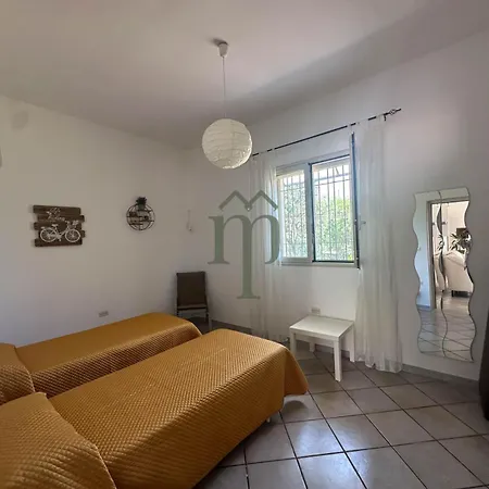 Primula Villa *