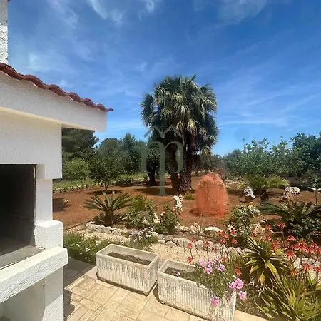 Primula Villa *